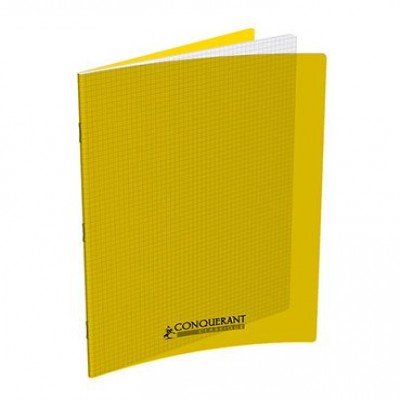 Cahier 24x32cm Petits Carreaux 5mm 96 Pages