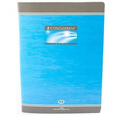 Cahier 24x32cm Petits Carreaux 5mm 192 Pages Agrafées Couverture Cart